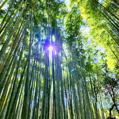 katasukeee08's profile picture. ウェブ制作初心者に役立つ情報をブログで発信｜大学生｜#ブログ仲間と繋がりたい｜#初心者ブロガー｜受験についての記事はhttps://t.co/VqIUu1BXzM｜サクメシhttps://t.co/WHQoIdmPfM管理人