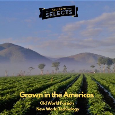 Foodservice Distributor
Specialty Produce
Perfect for Today's Fresh Generation
