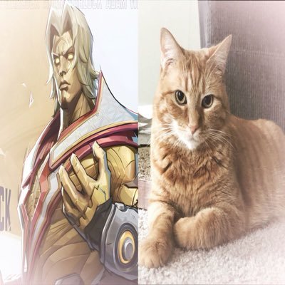 biggestsquids's profile picture.