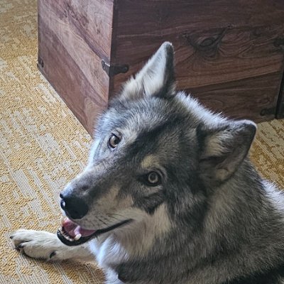 BeckhamJaa51354's profile picture. 