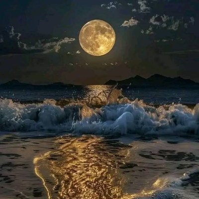 ScribblesEDU97's profile picture. 