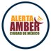 Alerta Amber CDMX (@aambercdmx) Twitter profile photo Alerta Amber CDMX (@aambercdmx) Twitter profile photo