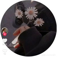 وسام (@mmhgh334455) 's Twitter Profile