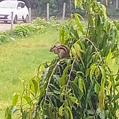 gw2wenty's profile picture. just connect for good friendship...
BEING HUMAN....
no scammers🚫no porn 🚫
no only fans 🚫no nudes 🚫