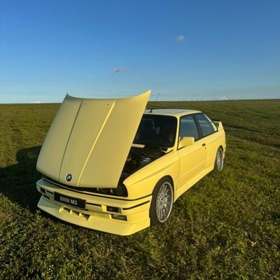 Koknive's profile picture. 🇮🇹