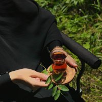 n (@birbehra) 's Twitter Profile Photo