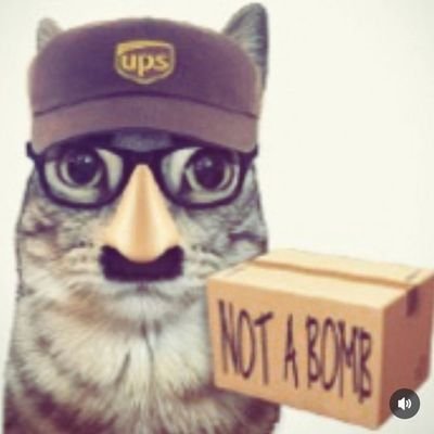 Seyeleさんのプロフィール画像