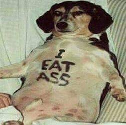 subnormal_111's profile picture. 