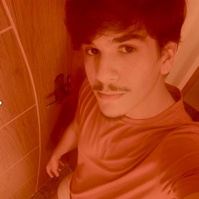 sou vestibulando, lindo e estou aguardando o the life of a showgirl