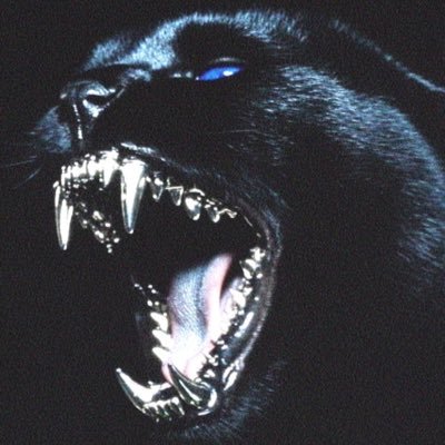 KabyleOrgulloso's profile picture. Music & video editor.