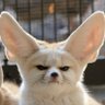 fen2281337's profile picture. 