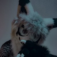 haruka π ac, megaplex (@sakipupper) 's Twitter Profile