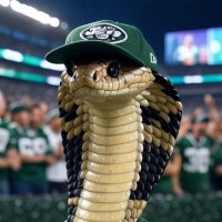 The Cobra (@re4lest_1) 's Twitter Profile