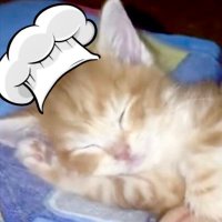 chef (@millionschefs) 's Twitter Profile