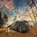 Crypto Bus (@_thecryptobus_) Twitter profile photo Crypto Bus (@_thecryptobus_) Twitter profile photo