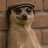 Frulawrence's profile picture. FREELANCER /MANCHESTER UNITED FAN