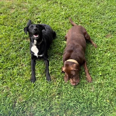mgarth129's profile picture. 