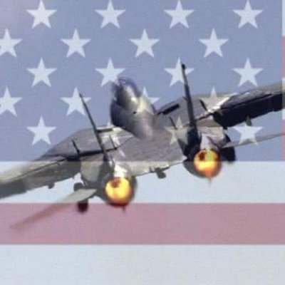 minnvet's profile picture. 🇺🇸 ⚓🇺🇸 Husband, Father, Navy Veteran, F-14A Avionic Technician 2nd class, VF-51, VF-211, 1984-1996. #USN #MAGA #1A #2A  🇺🇸🇺🇸🇺🇸🇺🇸
