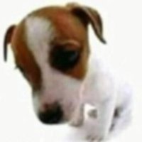 gabelmoon (@gabelmoon7) 's Twitter Profile Photo gabelmoon (@gabelmoon7) 's Twitter Profile Photo