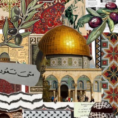 ElsoudaNou89363's profile picture. 
