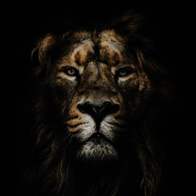 CEO@LIONHEARTGROUP🦁// A student//Web3 dream//Christian////Lock in//God Always// hoping to change this Bio into something great once i made it through web3