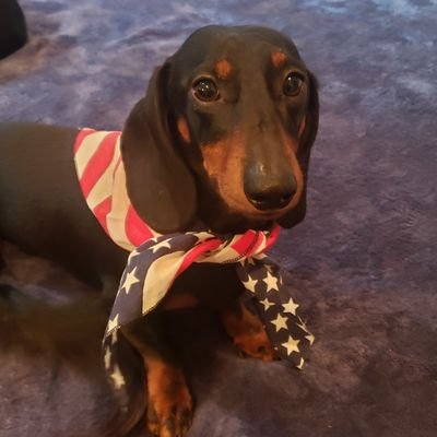 Chrissy100773's profile picture. Montana  born Gen Xer, American Patriot 🇺🇲, lived in the NW, SW, and now Midwest (basically all over the US) 🇺🇸 MAGA 🇺🇲💯🇺🇲 no porn or DM's.