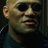 Morpheus avatar
