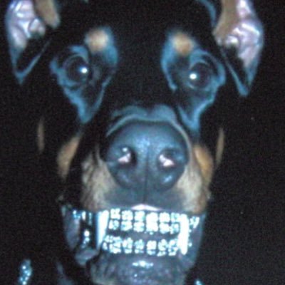 Thiiagoosd's profile picture. 