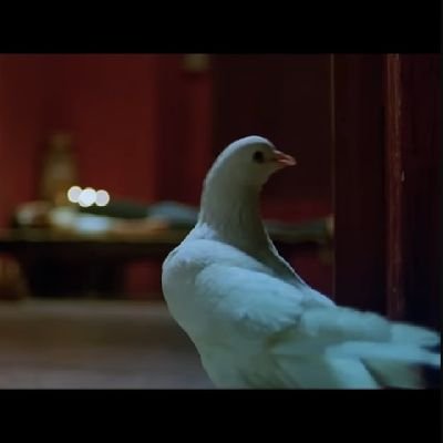 nsrmagk's profile picture. Consciousness. Brahmachari. Enlightenment.
