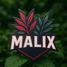 qMalix_'s profile picture. Malix 🎮 Twitch : MalixFR