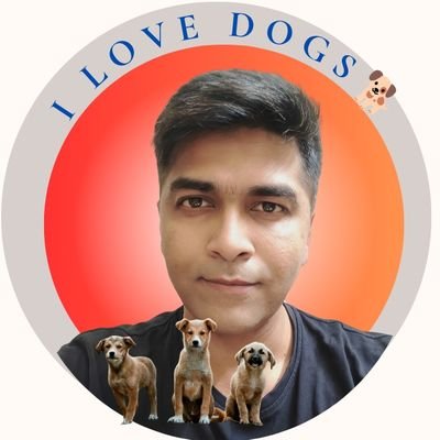 Vikram Mailar Vijay Profile