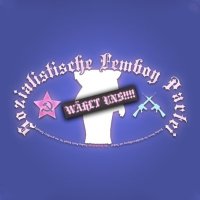 Sozialistische Femboy Partei Fan (@superi0r_femboy) 's Twitter Profile