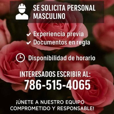 La Escuela Del Empleo te ayuda a llenar una hoja de vida de acuerdo a tus habilidades. Te enseña lo que desea tu empleador de ti. Trabajo Inmediato.