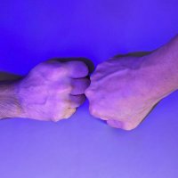 Punch Piggies (@punchpiggies) 's Twitter Profile