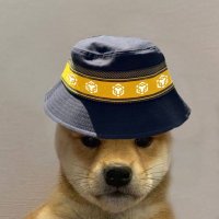 BNB DOGE (@bogebnb) 's Twitter Profile