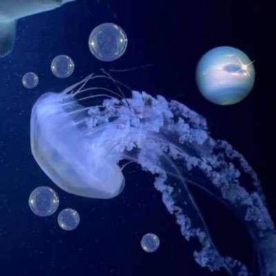 elmaiki_pr1x's profile picture. 