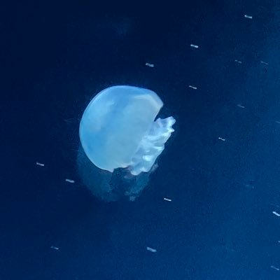 Manugus663791's profile picture. 