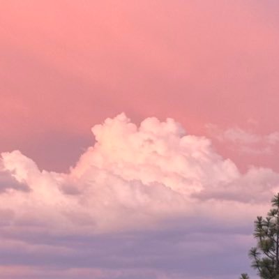 sskltd's profile picture. og at emerald cloud lab