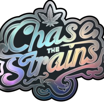 Chasethestrains's profile picture. 