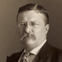 Bull Moose Investing (@bull_moose26) 's Twitter Profile Photo