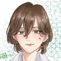 食塩☘️🌕 (@nacl_rrr_nnn) 's Twitter Profile