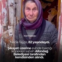 GÜSODERKAPATILSIN (@gsoderkapa36804) 's Twitter Profile Photo GÜSODERKAPATILSIN (@gsoderkapa36804) 's Twitter Profile Photo