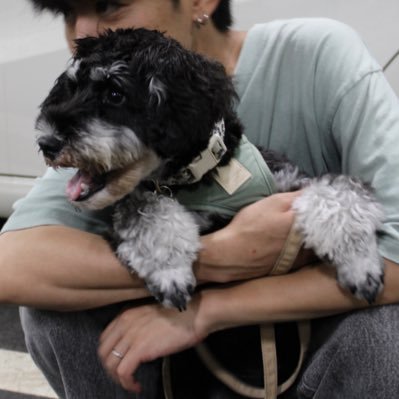 たろー様 Amazon | Tranz-X キツマ ドロッパーポスト 外部ルーティング