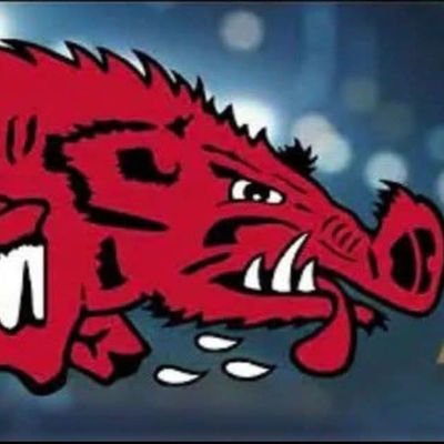 Tampa bay buccaneers , Tampa bay lightning, Tampa rays. pirate and scoundrel, mix sarcasm with criticism.agnostic atheist😂 WPS RAZORBACKS NO DMs