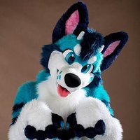 🐾🧵 Nyla ✂️✨ (@nylastorm7097) 's Twitter Profile