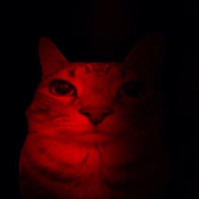 this account is just random rants about mostly dubstep music or basketball bc its x/twitter yk