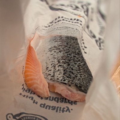 Agent_Kekius's profile picture. SALMON