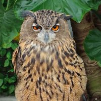 MaTsu (@mt23469) Twitter profile photo