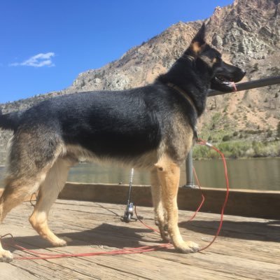 rey08016460's profile picture. 