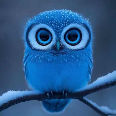 MoncayoAlex666's profile picture. 